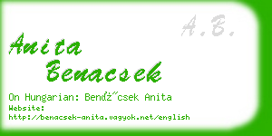 anita benacsek business card